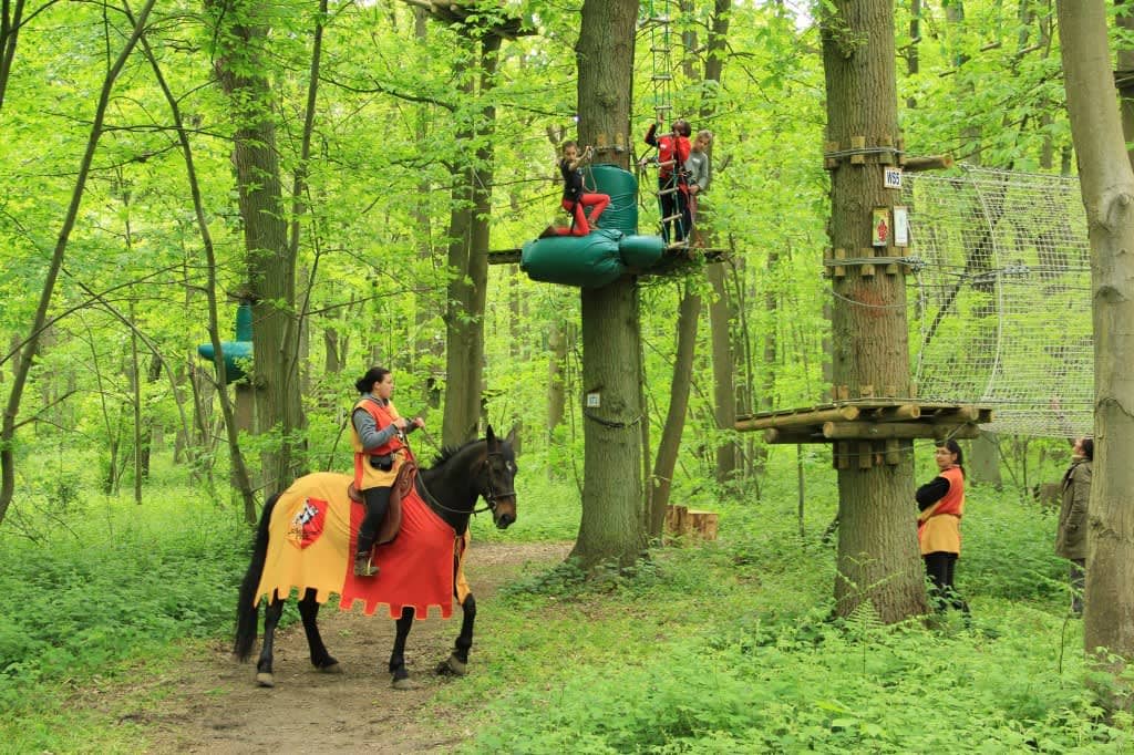 Sherwood_Tree_Climbing_1_b7f87ef0a91f875d1e1f9f3d59f8be66-1