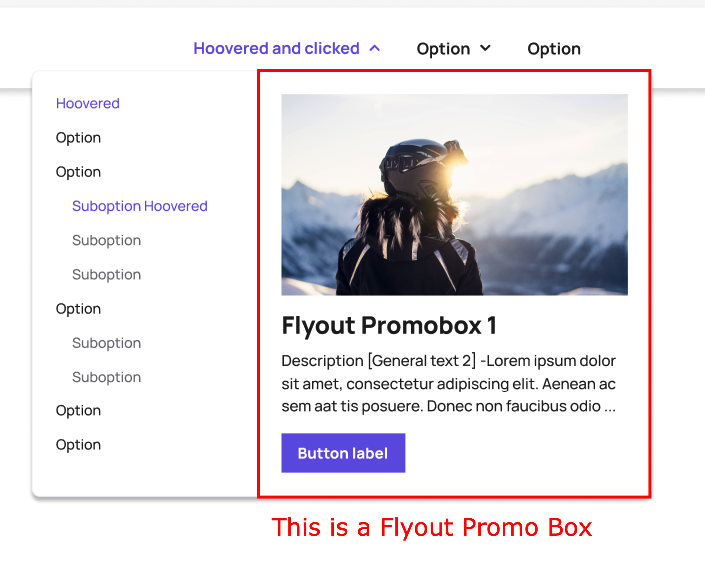 Flyout Promo Box